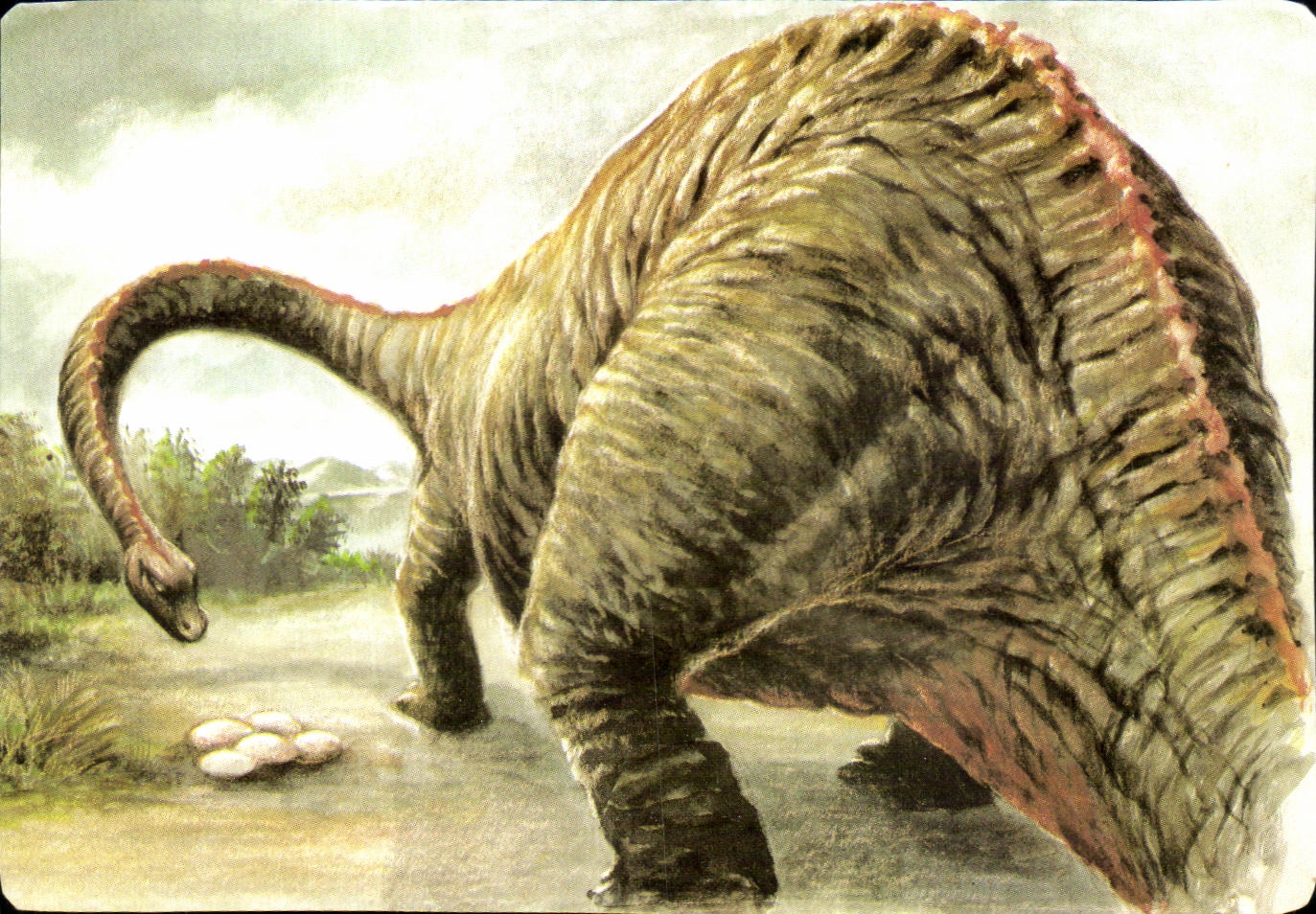 Image Le Diplodocus Mickey