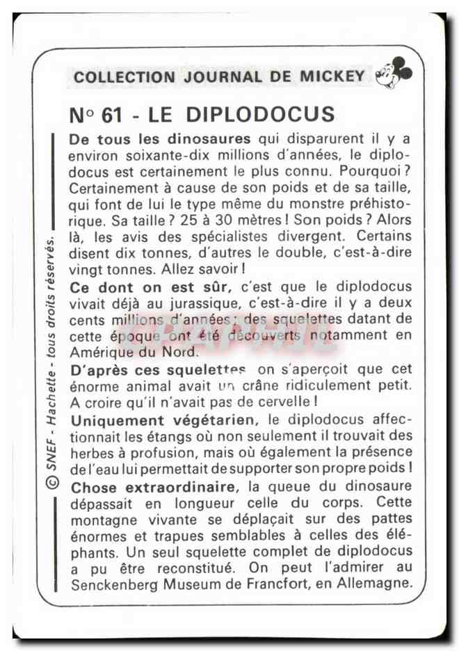 Image Le Diplodocus Mickey — Verso