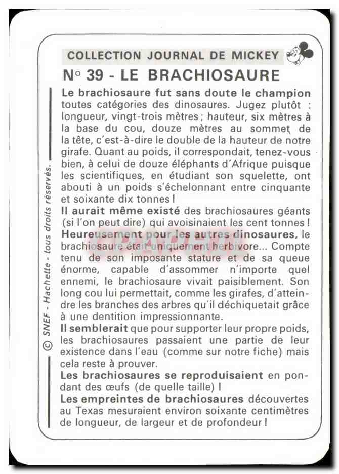 Image Le Brachiosaure Mickey — Verso