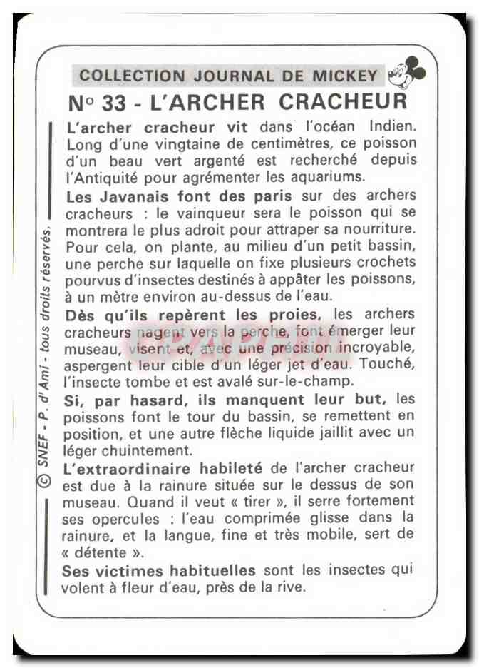 Image L'Archer Cracheur L'archer cracheur vit dans I'ocean Indien Mickey — Rückseite