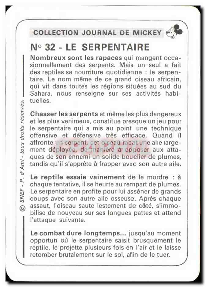 Image Le Serpentaire Mickey — Verso