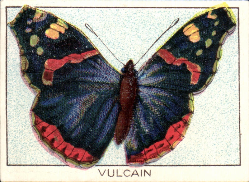 Image L'union Laigle vert Vulcain Papillon