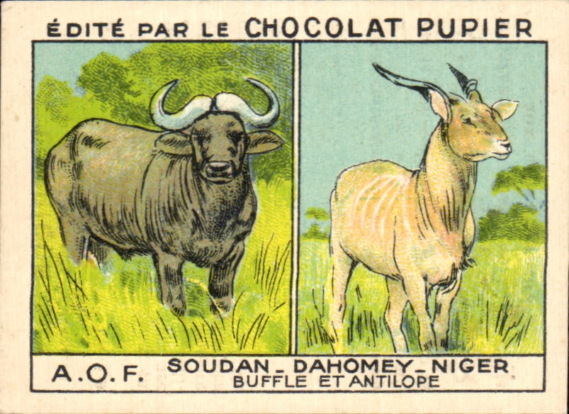 Image AOL Chocolat Pupier Soudan Dahomey Niger Buffle et antilope