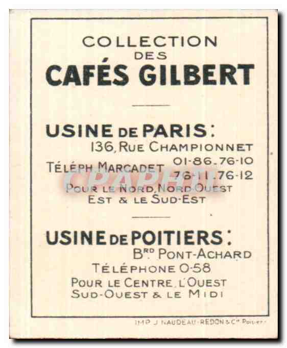 Image Cafes Gilbert Loriot Oiseau — Back