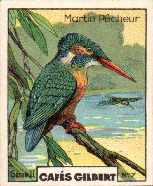 Image Cafes Gilbert Martin Pecheur Oiseau