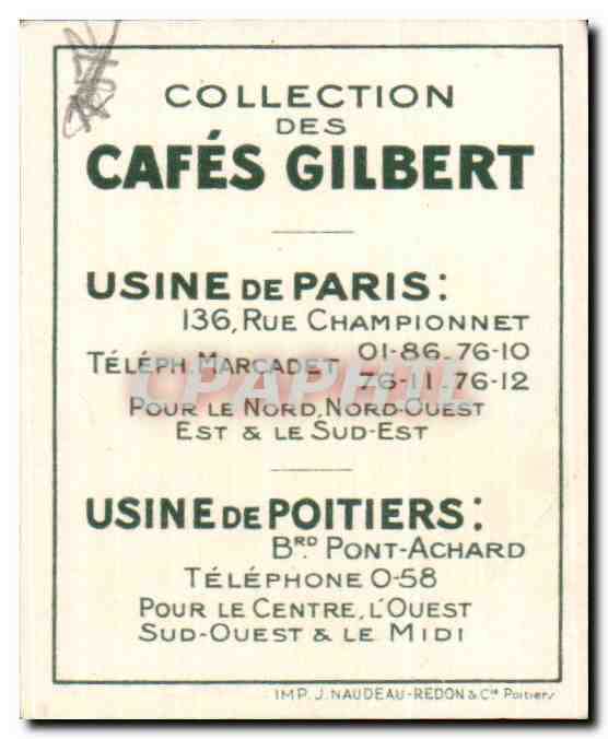Image Cafes Gilbert Antilope gnou  — Verso