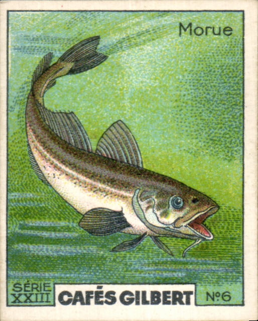 Image Cafes Gilbert Morue Cafes Gilbert Poisson