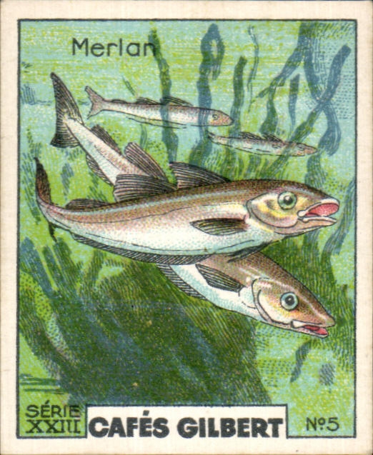 Image Cafes Gilbert Merian Cafes Gilbert Poisson