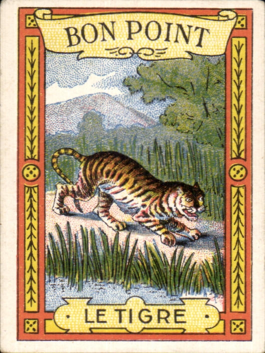 Image Bon Point Le Tigre Tiger Bledine Jacquemaire