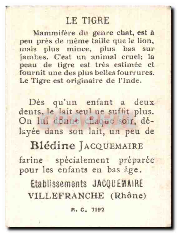 Image Bon Point Le Tigre Tiger Bledine Jacquemaire — Verso