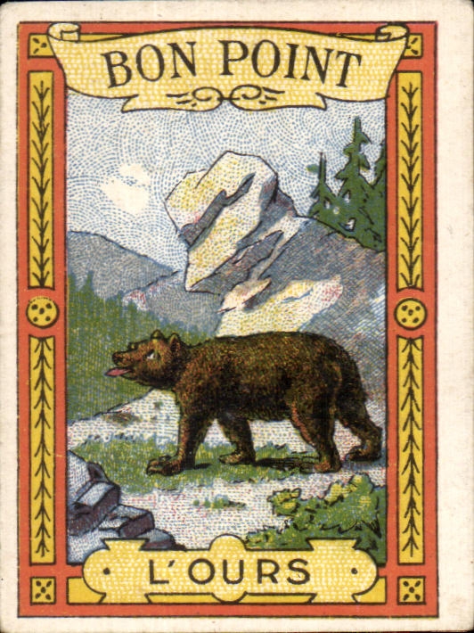 Image Bon Point L ours Bear Bledine Jacquemaire