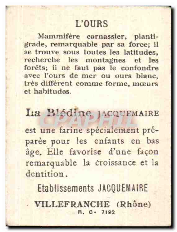 Image Bon Point L ours Bear Bledine Jacquemaire — Verso