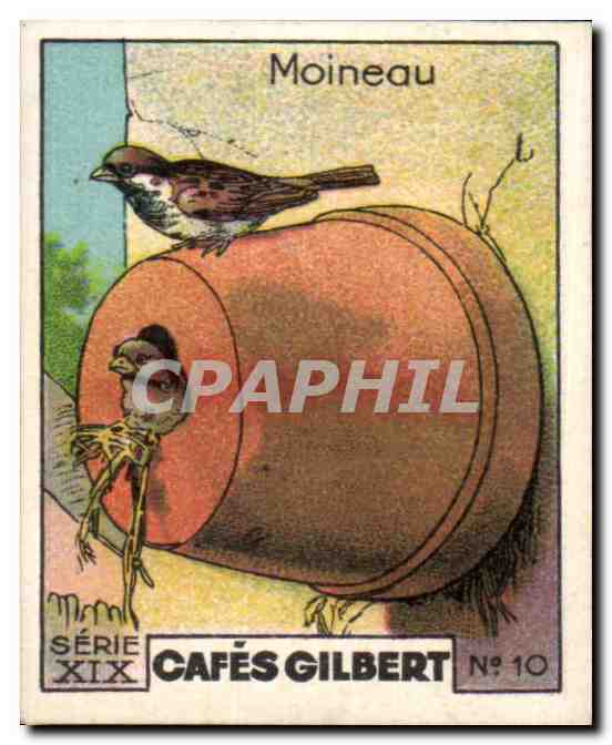 Image Cafes Gilbert Moineau Cafes Gilbert Oiseau