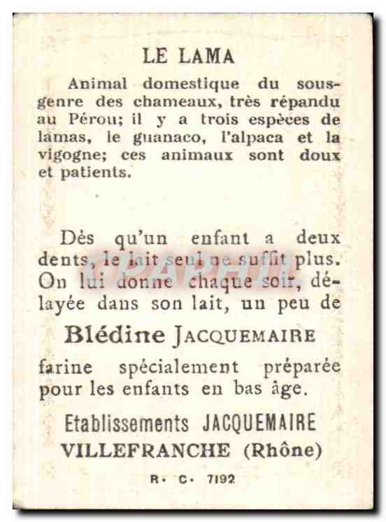 Image Bon Point Le Lama Bledine Jacquemaire — Verso