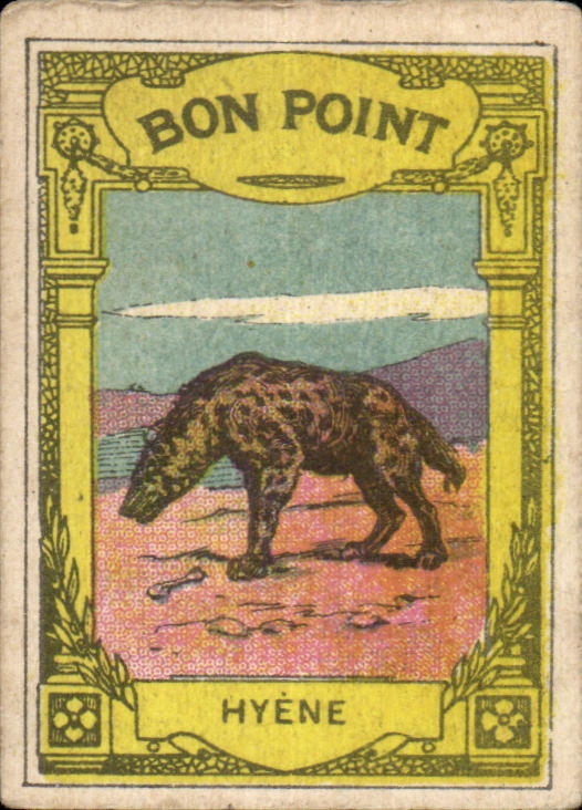 Image Bon Point Hyene Phosphate Vital de Jacquemaire