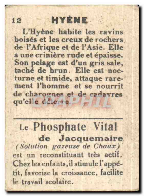 Image Bon Point Hyene Phosphate Vital de Jacquemaire — Verso