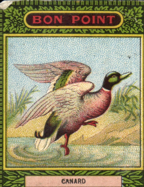 Image Bon Point Canard Blecao
