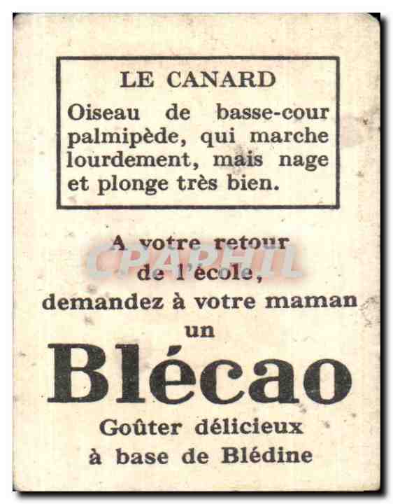 Image Bon Point Canard Blecao — Rückseite