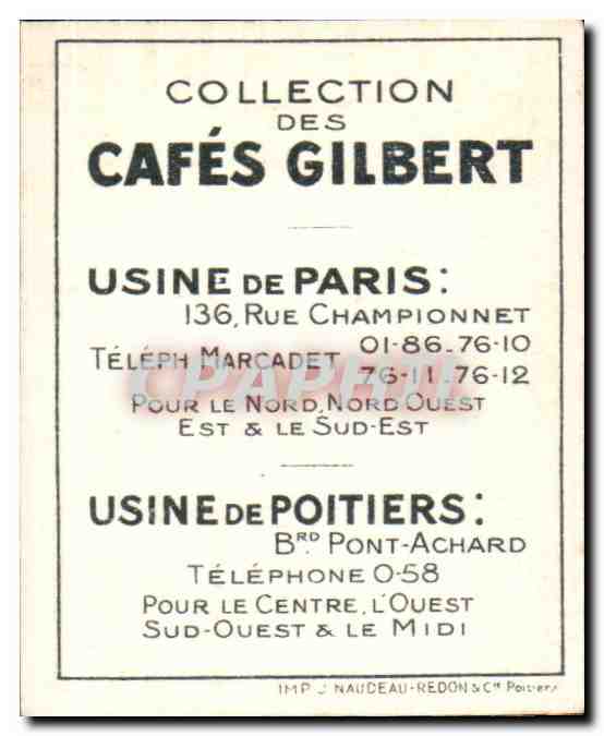 Image Cafes Gilbert Buse Cafes Gilbert Rapace oiseau — Verso