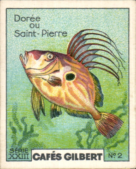 Image Cafes Gilbert Doree Ou Saint Pierre Cafes Gilbert Poisson
