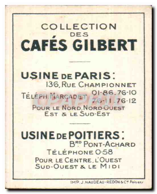 Image Cafes Gilbert Requin Cafes Gilbert Poisson shark — Verso