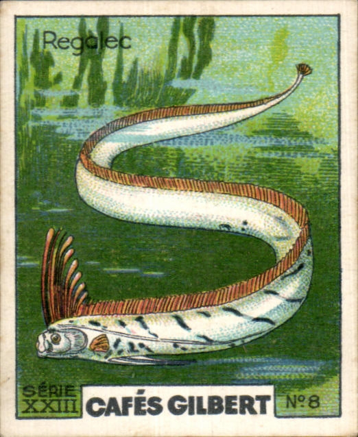 Image Cafes Gilbert Regalec Cafes Gilbert Poisson