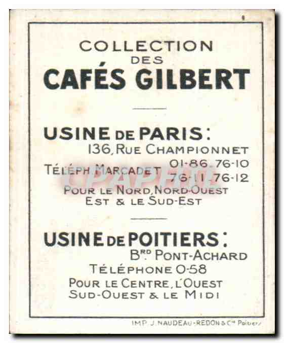 Image Cafes Gilbert Gypaete barbu Cafes Gilbert Rapace — Verso