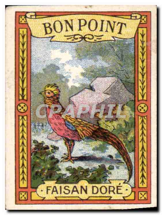 Image Phosphate Vital Bon Point Faisan Dore