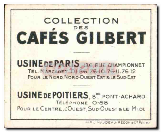 Image Maison Phenicienne serie cafes gilbert — Verso