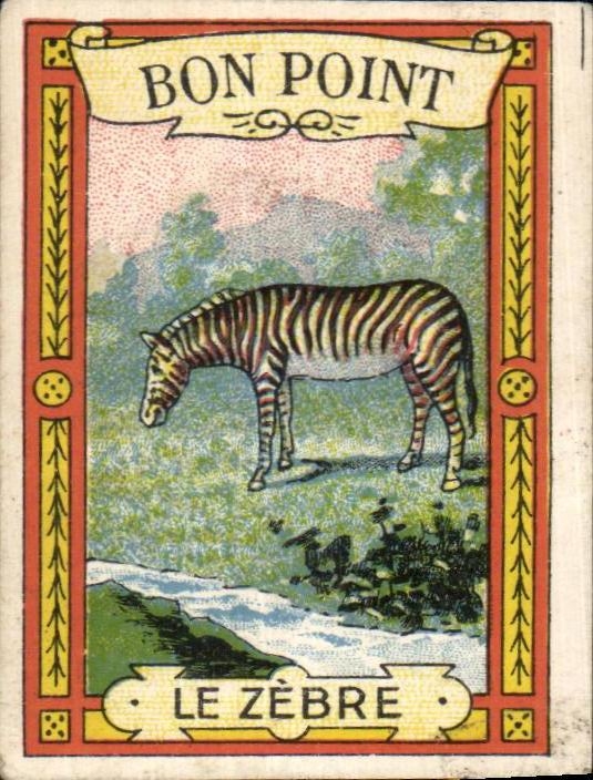 Image Bon point le zebre Zebra