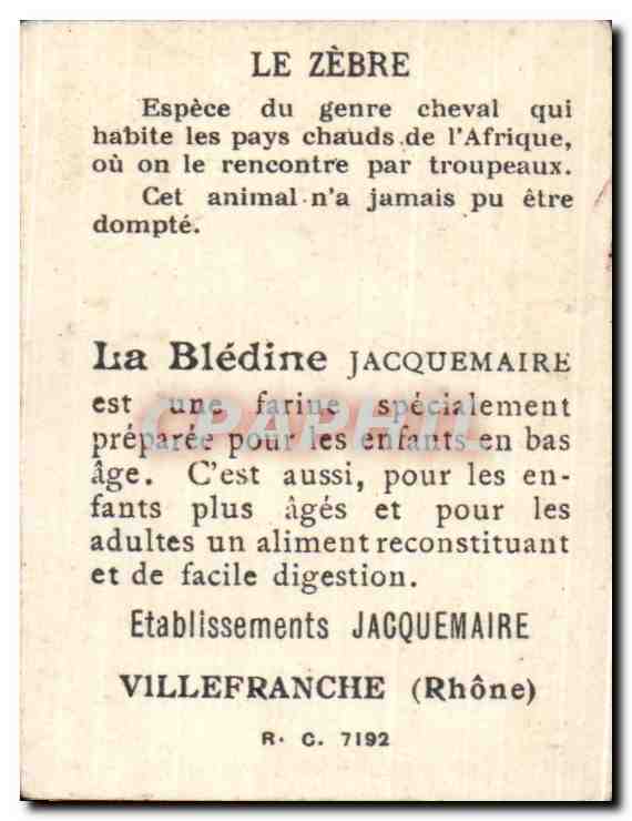 Image Bon point le zebre Zebra — Verso