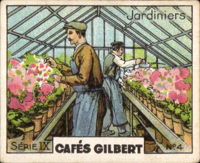 Image Jardiniers serie cafes gilbert