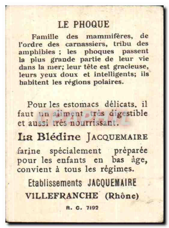 Image Bledine Jacquemaire Bon point le phoque — Verso