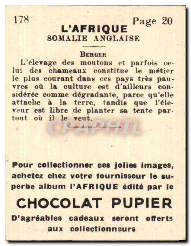 Image Edite par le chocolat pupier somalie anglaise berger — Verso