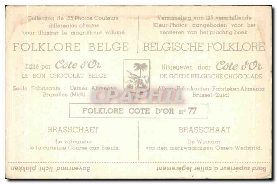 Image Brasschaet Vainqueur de la curieuse course de boeufs — Verso