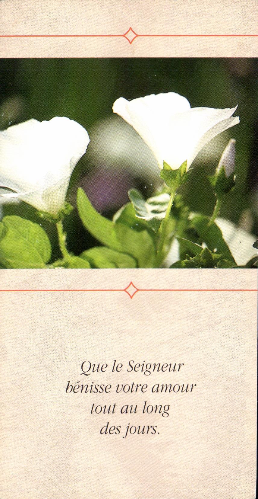 Image pieuse Que le seigneur benisse votre amour tout an long des jours