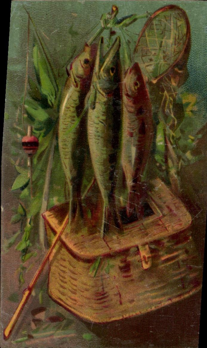 Chromo Peche Poissons 