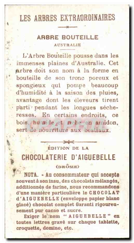 Chromo Chocolat D'aiguebslle Arbre bouteille Australie — Verso