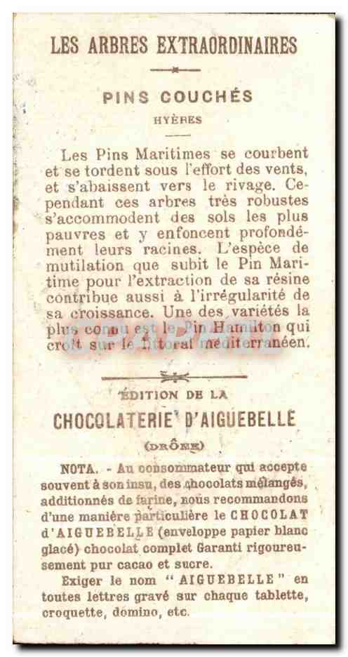 Chromo Pins couches a Hyeres Chocolaterie d'Aigueblle — Back