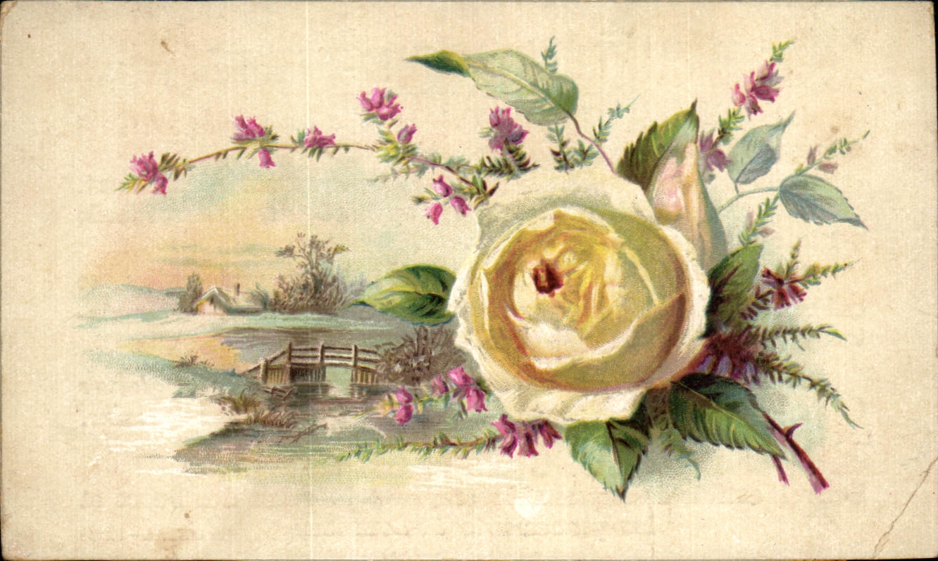 Image Lacures chatelaine pour corsages 