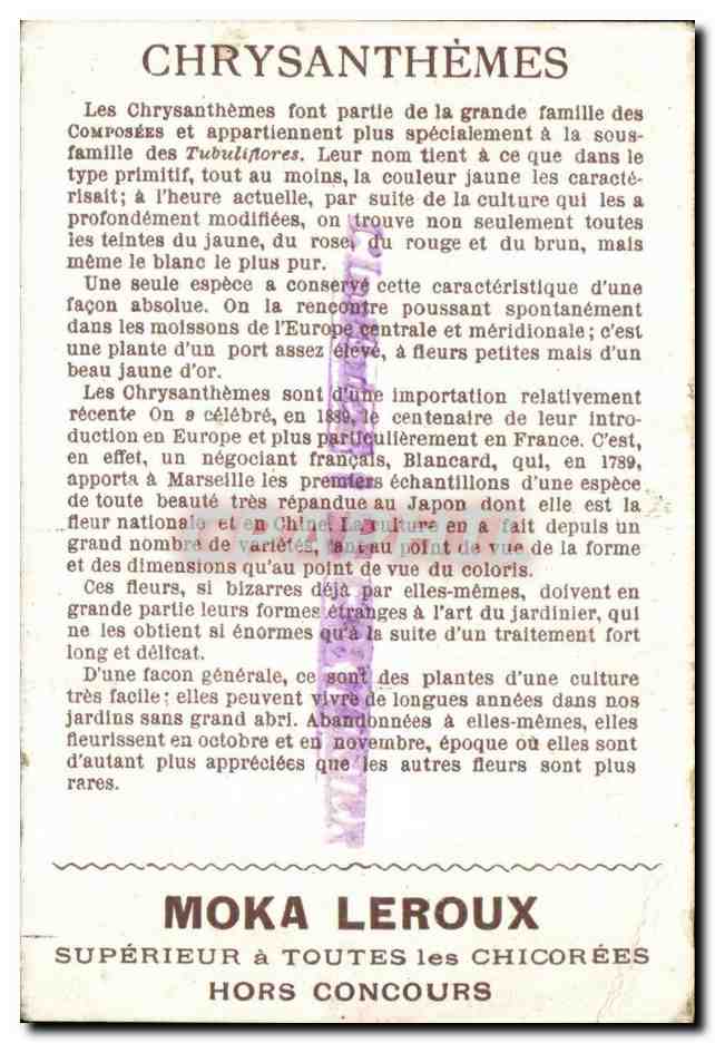 Chromo L lnstituteur a convoisier Moka Leroux Chrysanthemes — Verso