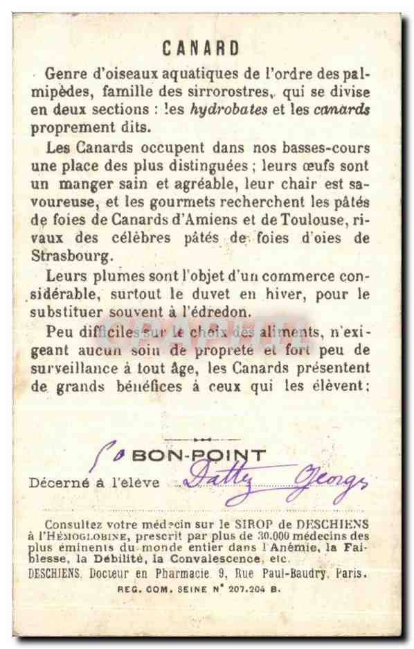 Chromo Canard Bon point  — Verso