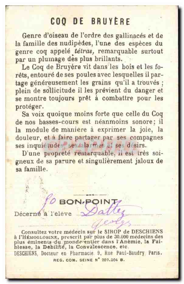 Coq de Bruyère — illustration naturaliste — éditeur non visible, n° de série non visible — Verso