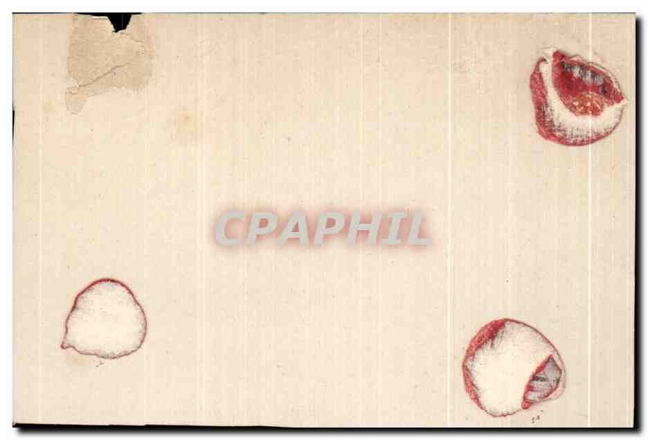 Chromo Le jeu de quilles Chien Enfants Lapin  — Rückseite