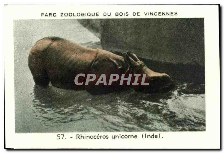 Image Parc zoologique du bois de vincennes rhinoceros unicorne inde India