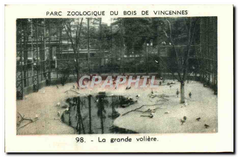 Image Parc zoologique du bois de vincennes la grande voliere Oiseaux