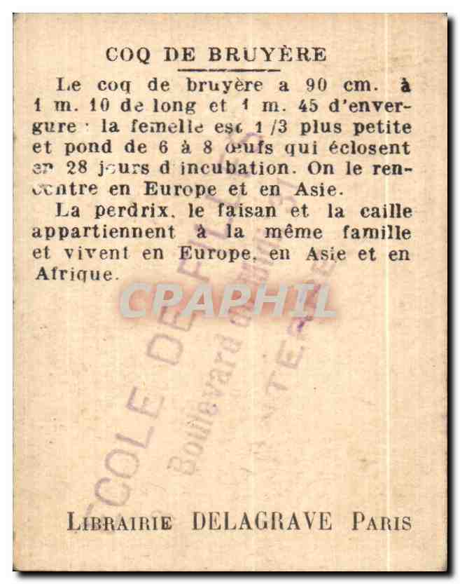 Image Coq de bruyere ou tetras Librairie Delagrave Paris — Verso