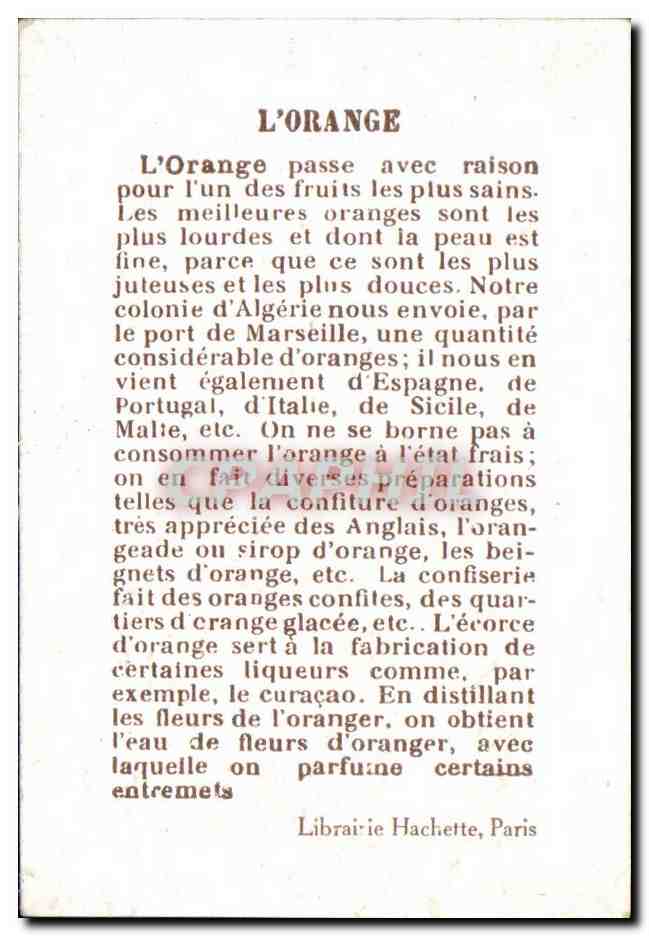 Image L'orange Orange Afrique Africa — Rückseite