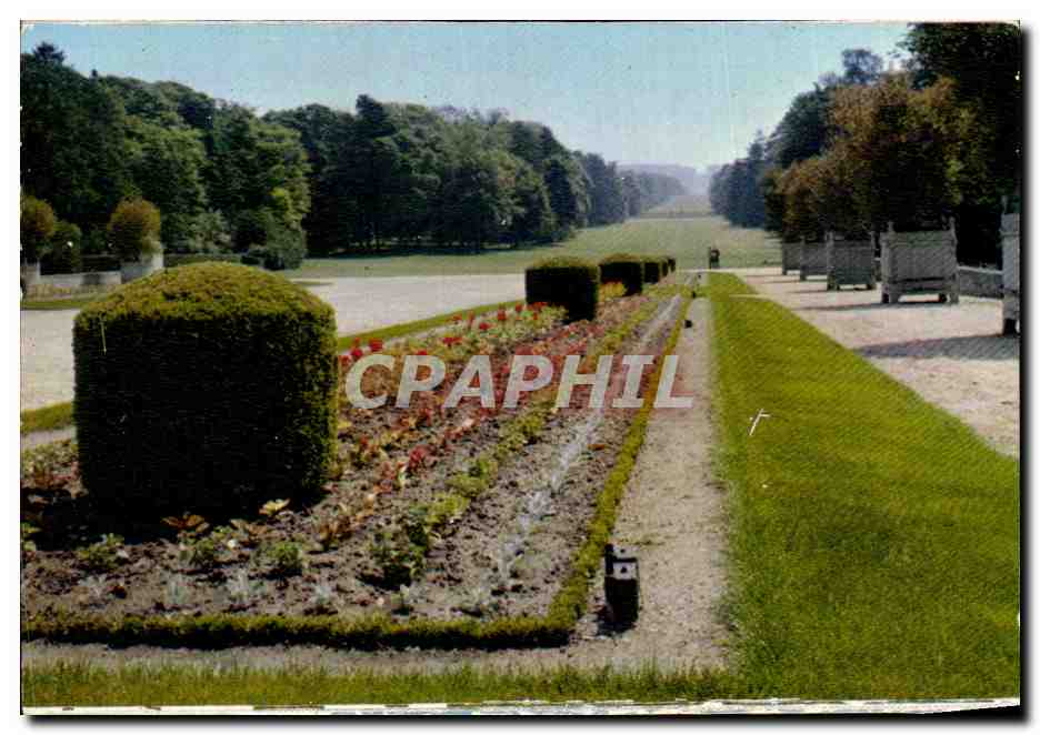 CPSM Compiegne parc du chateau l avenue des beaux monts