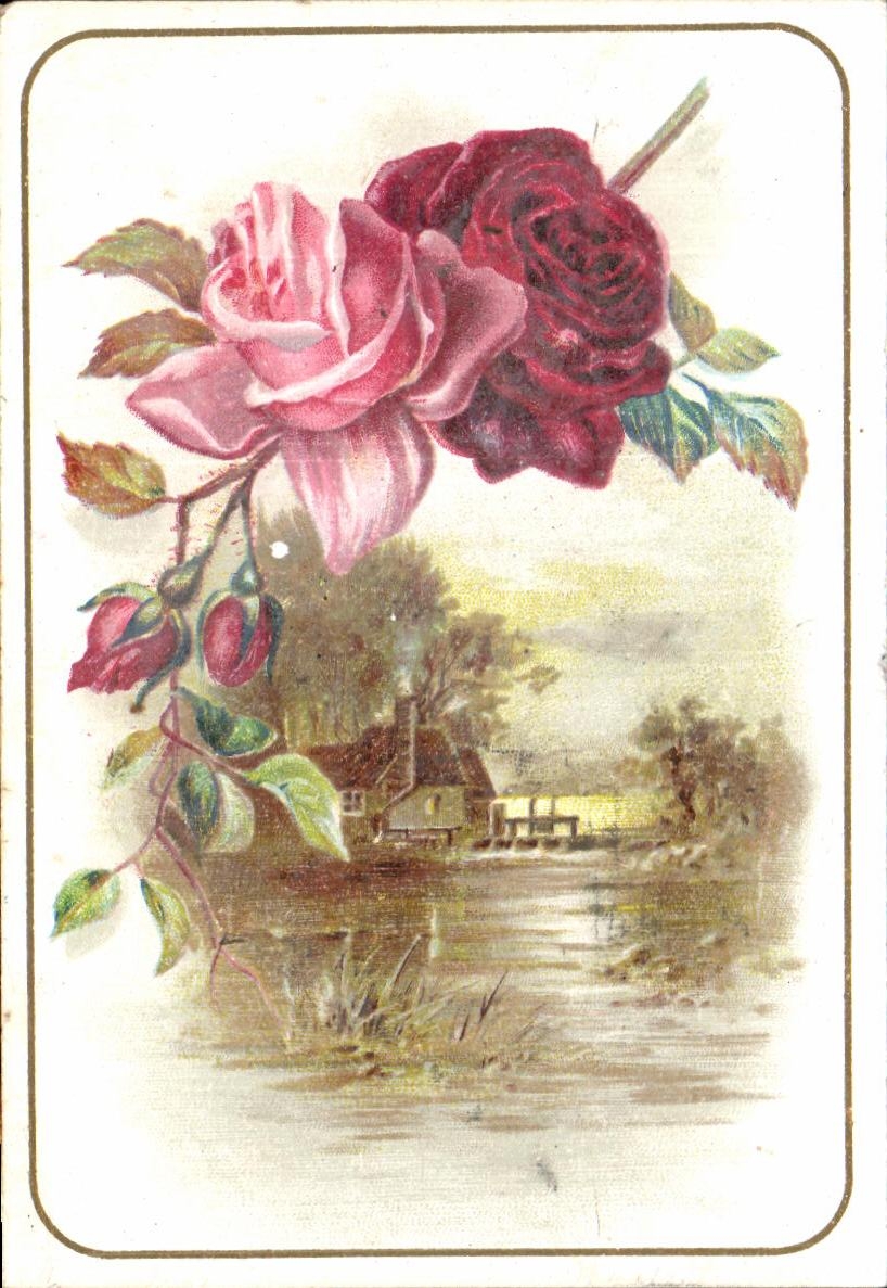 Image Fleur Rose
